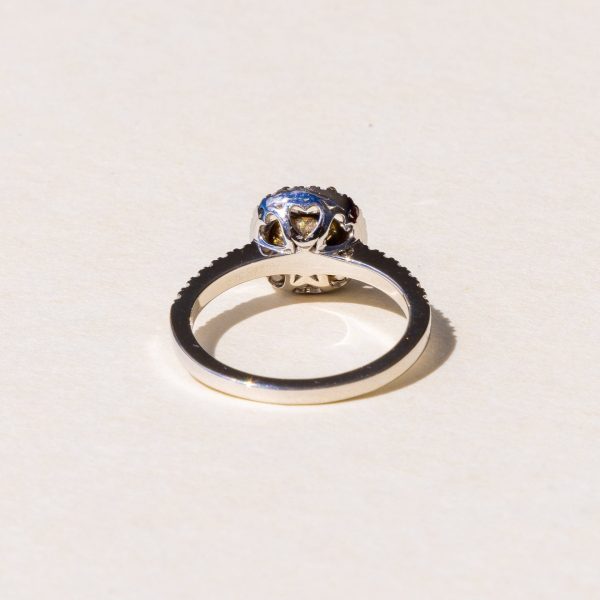 Renata Diamond Halo Solitaire Ring Fashion