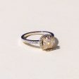 Renata Diamond Halo Solitaire Ring Fashion